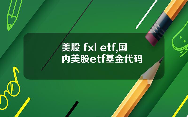 美股 fxl etf,国内美股etf基金代码
